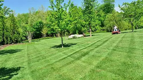 Emmitsburg, MD home lawn being mowed and maintained.